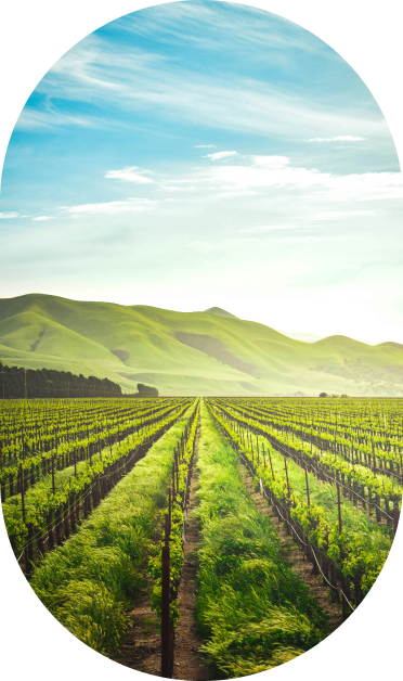 Agriculture Rent